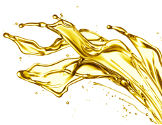 Total Fluid Service